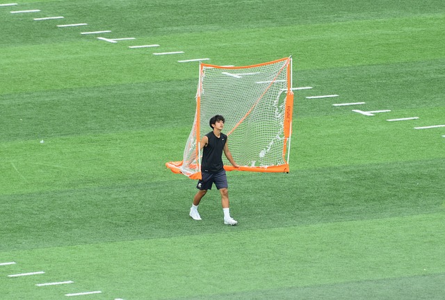 这项在北欧